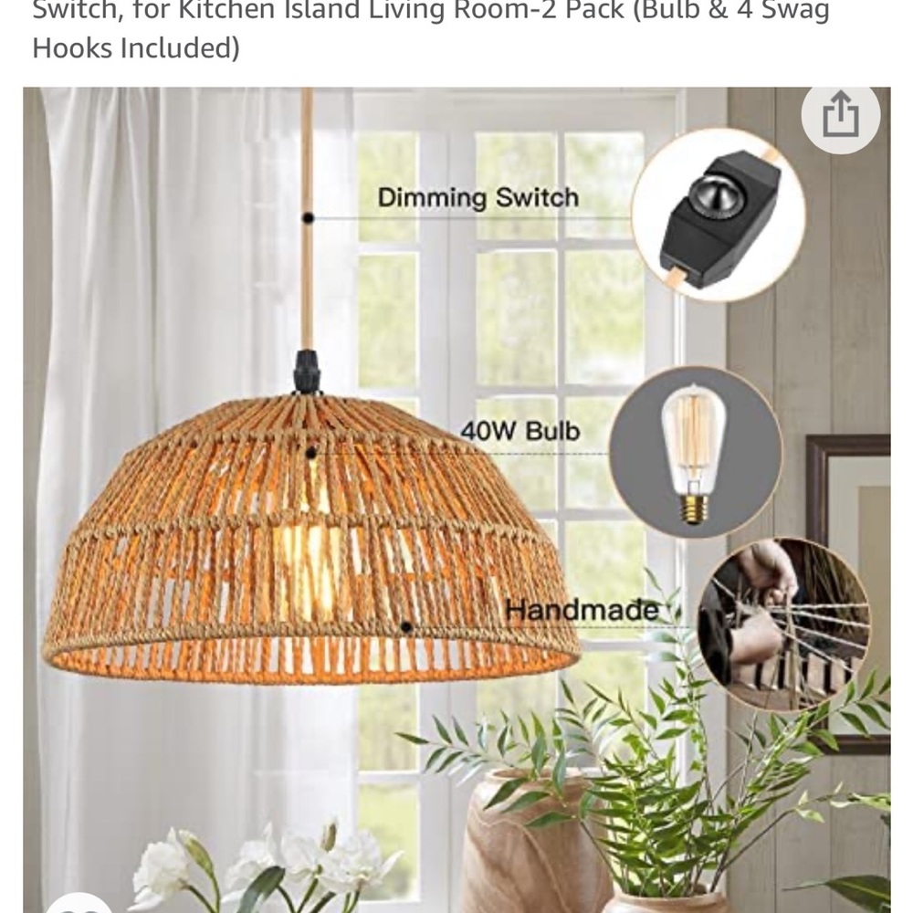 Plug In Pendant Light Set (2)
